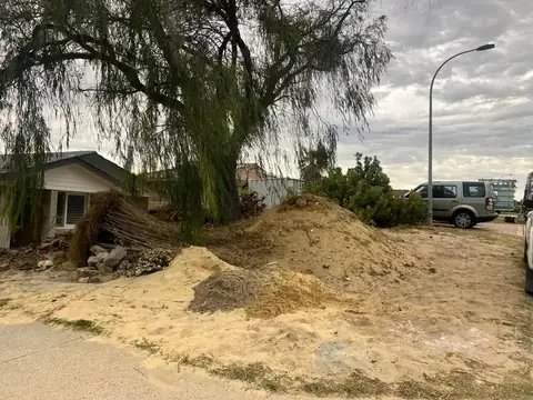 Backyard before and after a makeover (before 4 of 4)