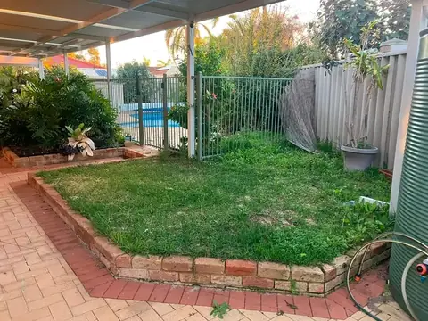 Backyard before and after a hand tidy-up (before 1 of 3)