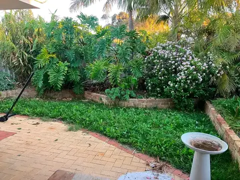 Backyard before and after a hand tidy-up (before 2 of 3)