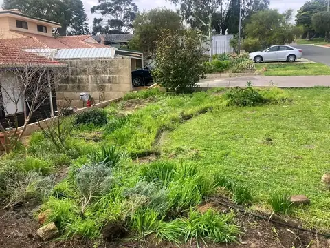 Craigie garden before and after landscaping (before 2 of 3)