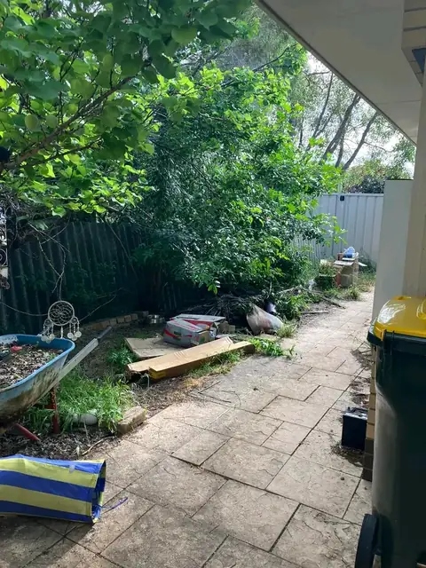 Greenwood yard before and after a makeover (before 3 of 4)